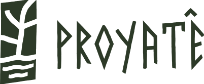 logo proyate x